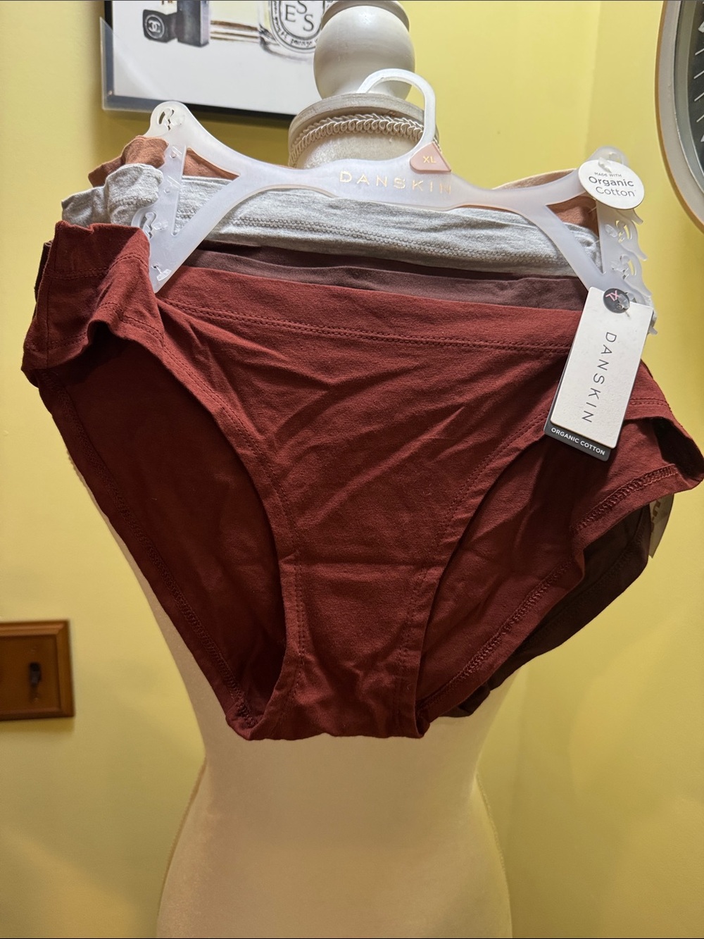 NWT Danskin set of 4 panties organic cotton size XL.